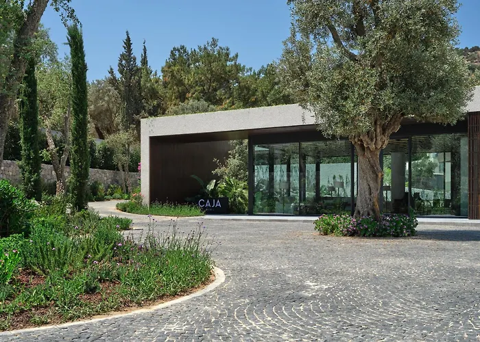 Hotel Caja By Maxx Royal