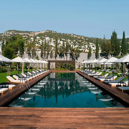 Caja By Maxx Royal 4*